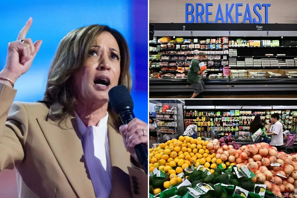 Food industry fires back at Kamala Harris’ price control plans to combat soaring grocery prices