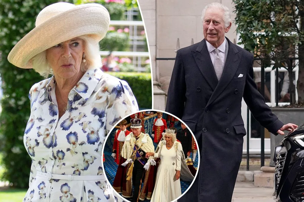 Queen Camilla was against King Charles publicly revealing his health issues: book