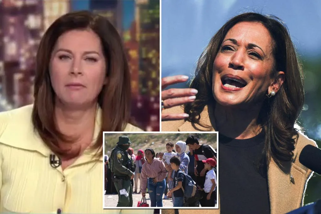 CNN’s Erin Burnett appears shocked that Kamala Harris backed taxpayer-funded gender surgery for migrants